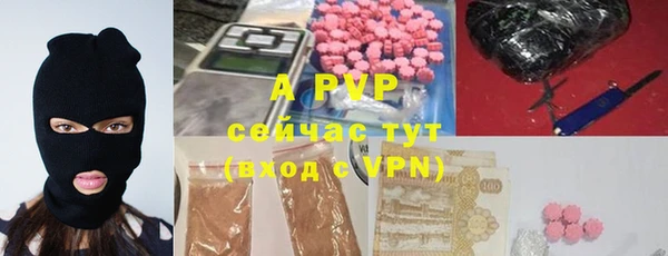 ПСИЛОЦИБИНОВЫЕ ГРИБЫ Новокубанск