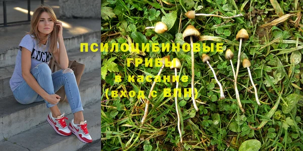 дурь Нефтегорск