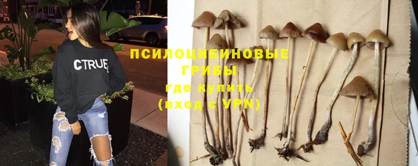 ECSTASY Нефтекумск